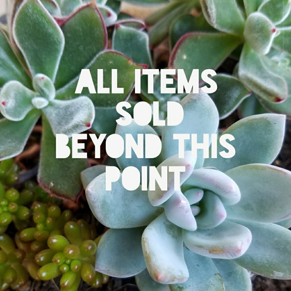 🌹 All Items  💕SOLD💕 beyond this point 🌹
